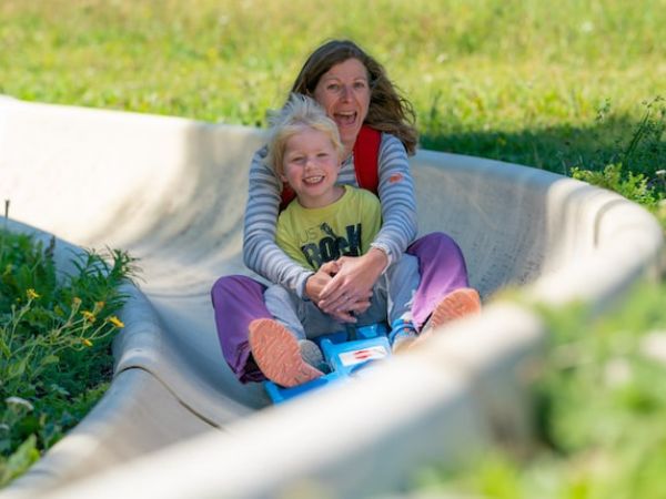 Luge-d été V2