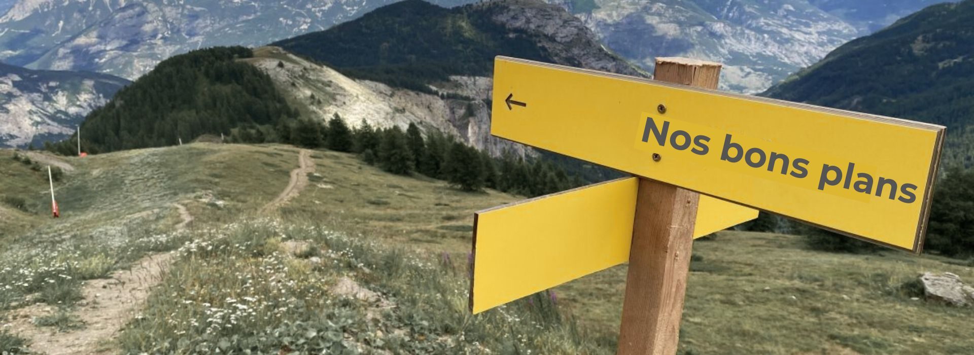 Nos bons plans